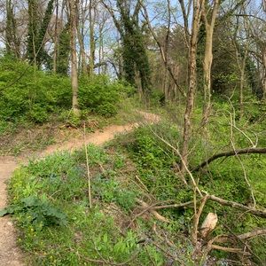 Meet your Posher, Allie